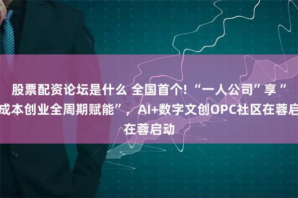 股票配资论坛是什么 全国首个! “一人公司”享“零成本创业全周期赋能”，AI+数字文创OPC社区在蓉启动